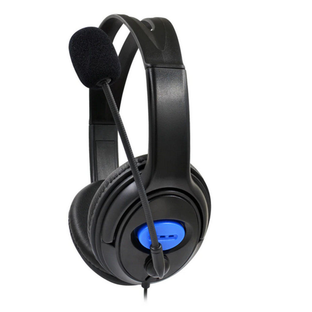 Ausinės su mikrofonu