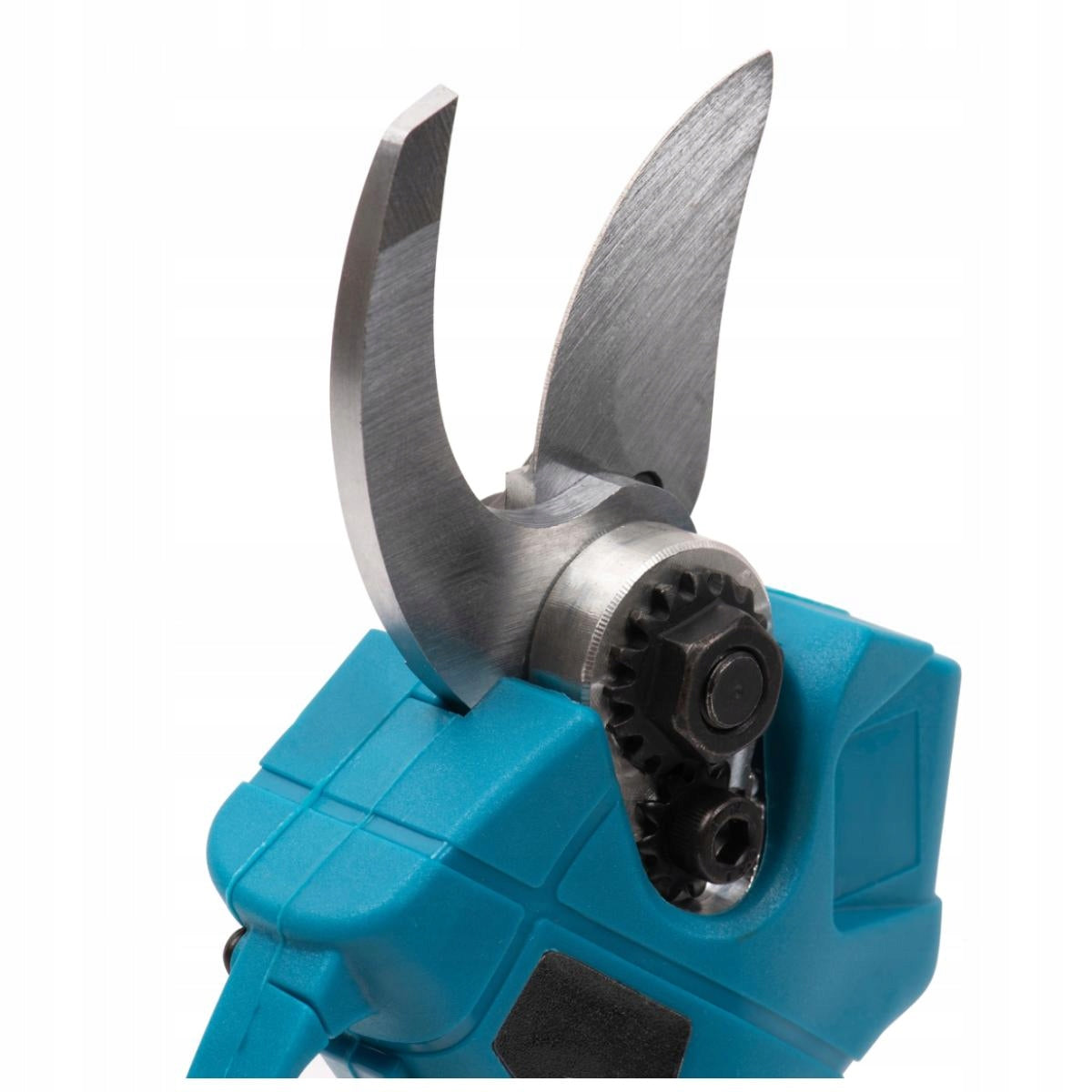 GRANDININIS PJŪKLAS + GENĖJIMO ŽIRKLĖS 