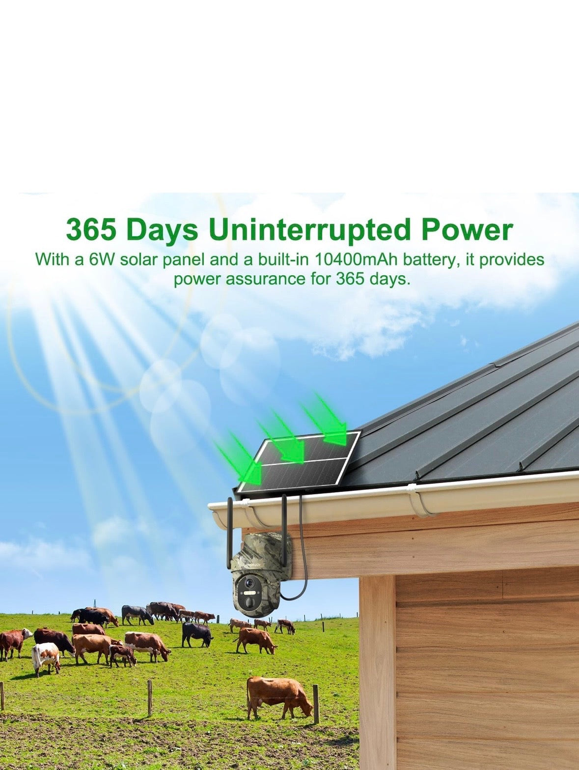 Belaidė laukinės gamtos stebėjimo kamera su judesio jutikliu